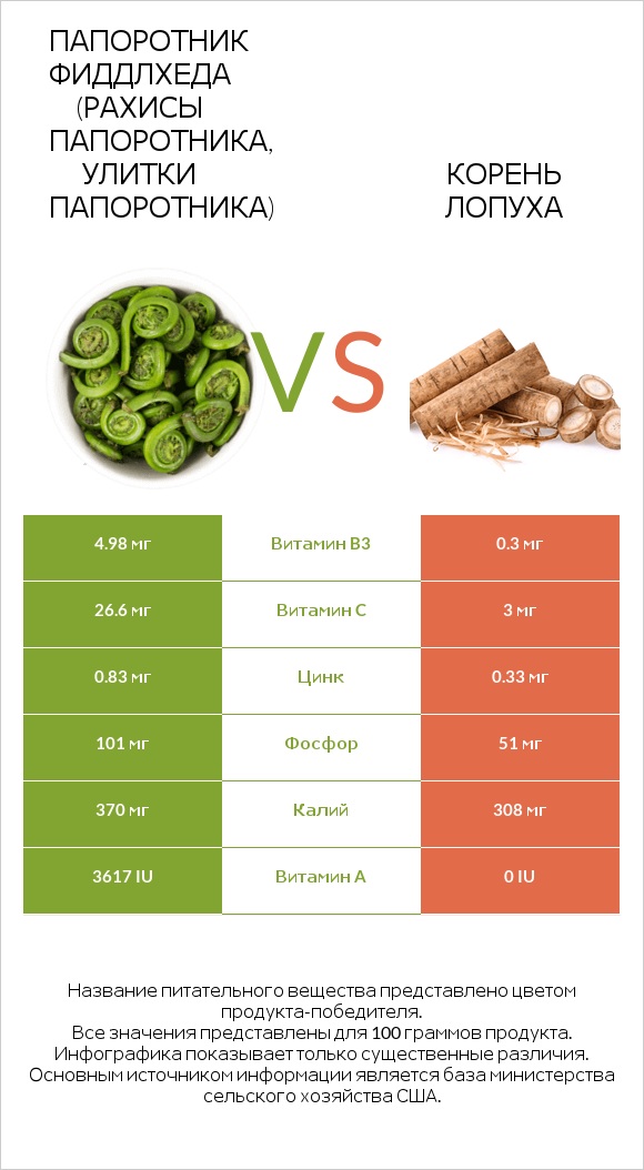 Fiddlehead ferns vs Burdock root infographic