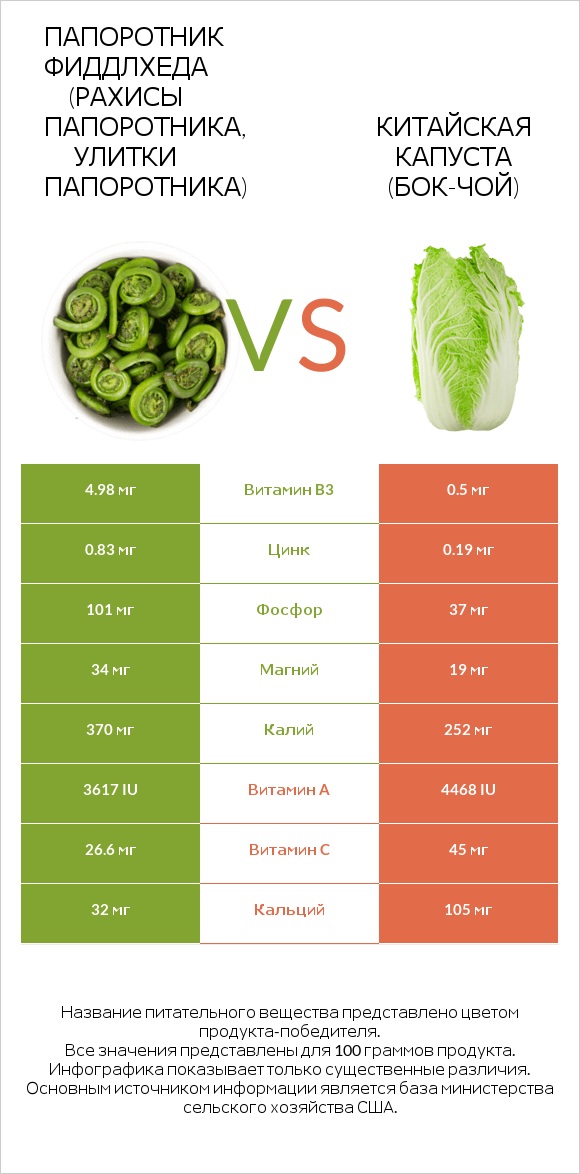 Fiddlehead ferns vs Китайская капуста infographic