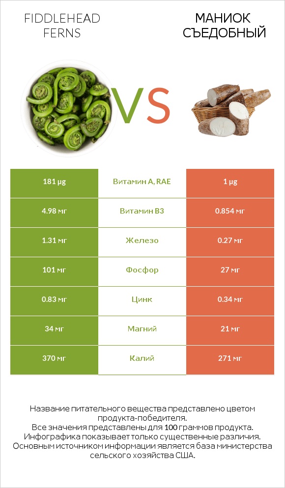 Fiddlehead ferns vs Маниок съедобный infographic