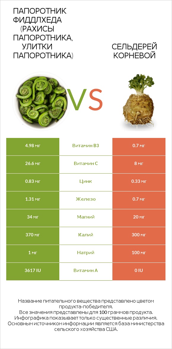 Папоротник Фиддлхеда (Рахисы папоротника, улитки папоротника) vs Сельдерей корневой infographic