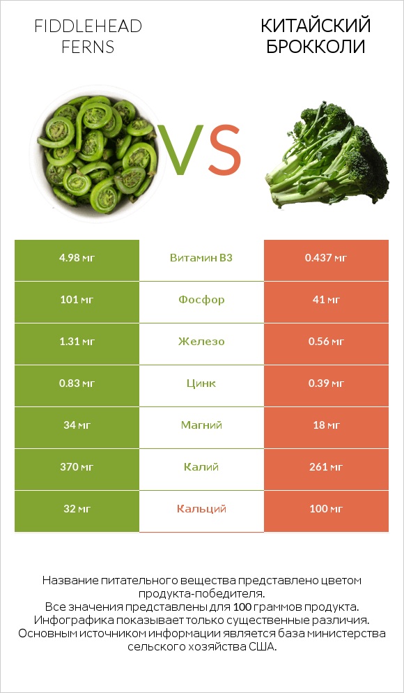 Fiddlehead ferns vs Китайский брокколи infographic