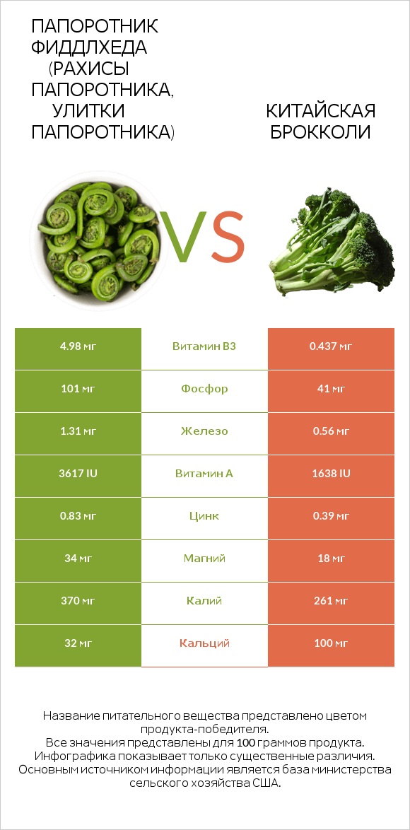 Fiddlehead ferns vs Китайский брокколи infographic