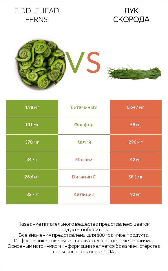 Fiddlehead ferns vs Лук скорода infographic