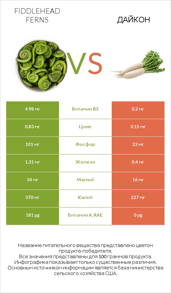 Fiddlehead ferns vs Дайкон infographic