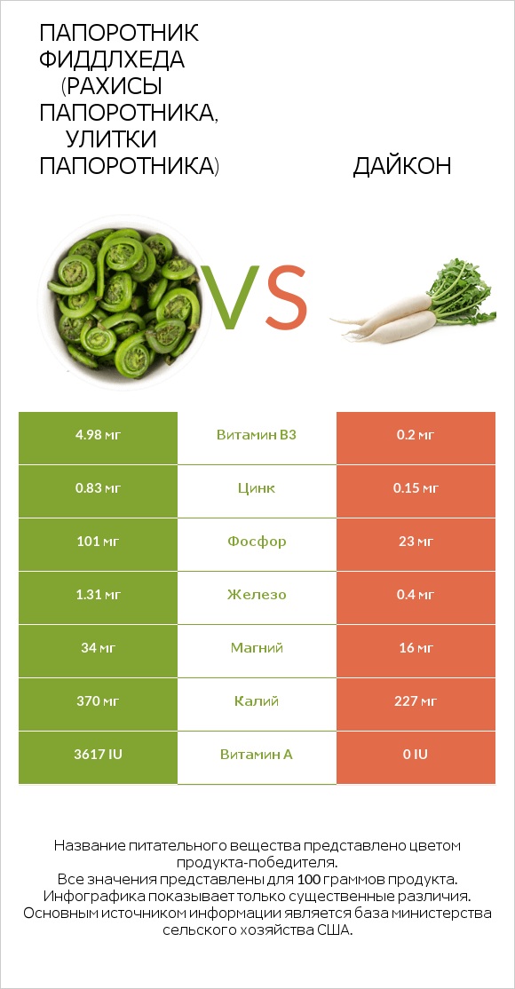 Папоротник Фиддлхеда (Рахисы папоротника, улитки папоротника) vs Дайкон infographic