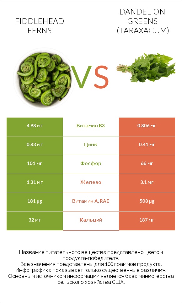 Fiddlehead ferns vs Dandelion greens infographic
