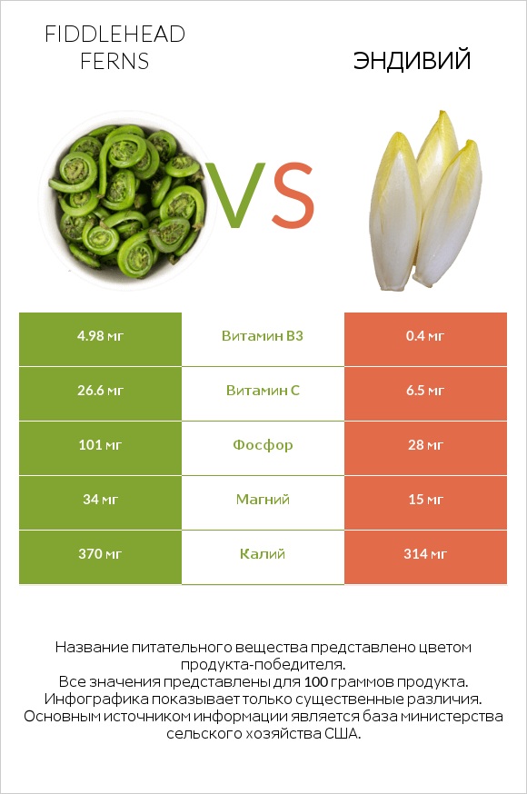 Fiddlehead ferns vs Эндивий infographic