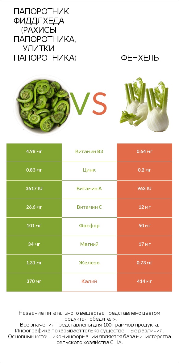 Папоротник Фиддлхеда (Рахисы папоротника, улитки папоротника) vs Фенхель infographic