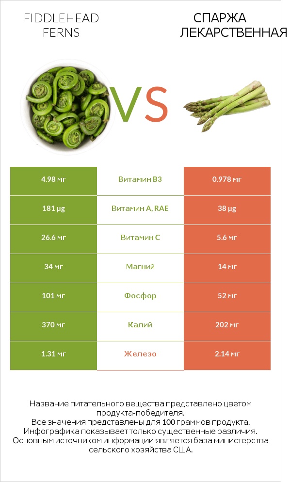 Fiddlehead ferns vs Спаржа лекарственная infographic