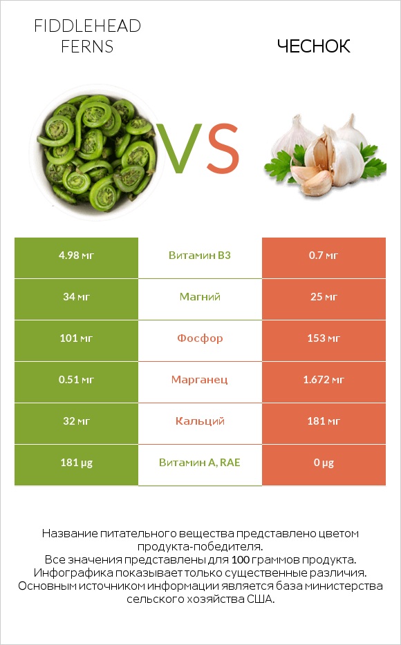 Fiddlehead ferns vs Чеснок infographic