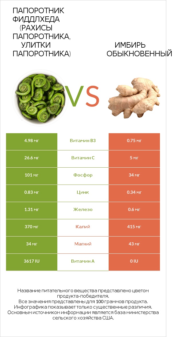 Fiddlehead ferns vs Имбирь infographic