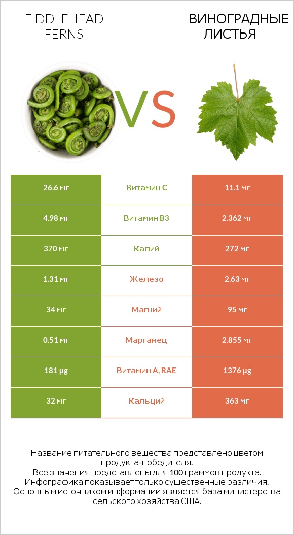 Fiddlehead ferns vs Виноградные листья infographic