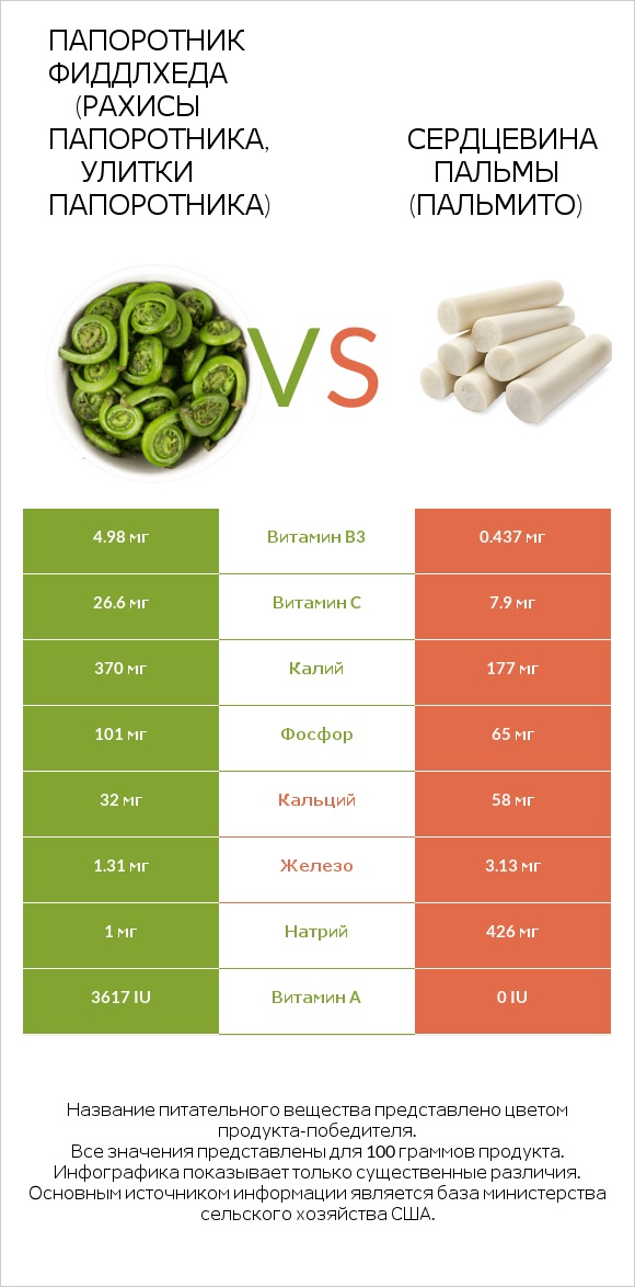 Папоротник Фиддлхеда (Рахисы папоротника, улитки папоротника) vs Сердцевина пальмы (пальмито) infographic