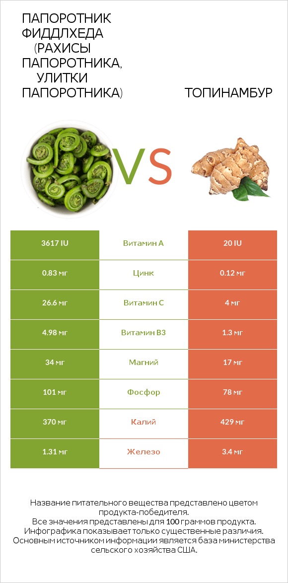 Папоротник Фиддлхеда (Рахисы папоротника, улитки папоротника) vs Топинамбур infographic