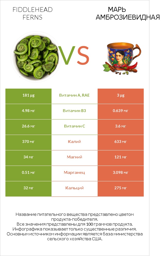 Fiddlehead ferns vs Марь амброзиевидная infographic