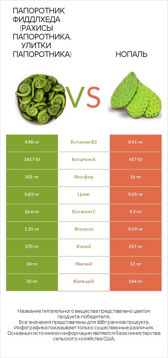 Fiddlehead ferns vs Nopales infographic