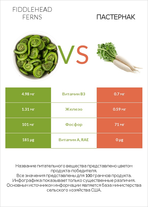 Fiddlehead ferns vs Пастернак infographic