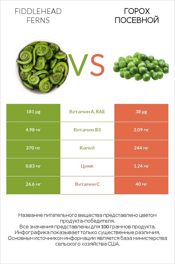 Fiddlehead ferns vs Горох посевной infographic