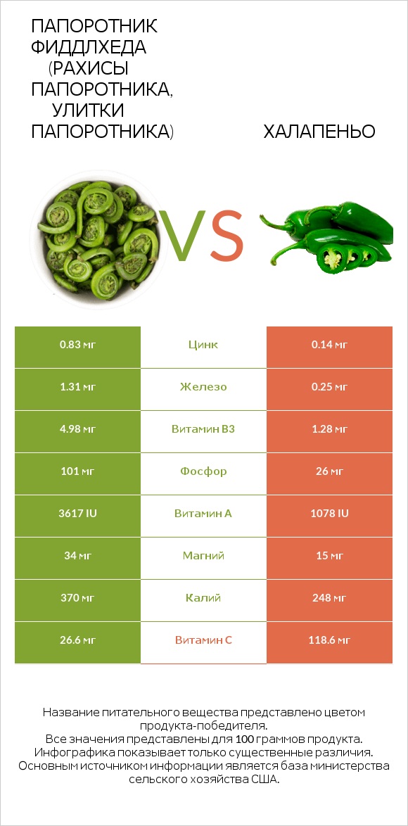 Папоротник Фиддлхеда (Рахисы папоротника, улитки папоротника) vs Халапеньо infographic