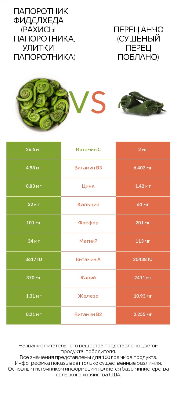 Fiddlehead ferns vs Перец чили (поблано)  infographic