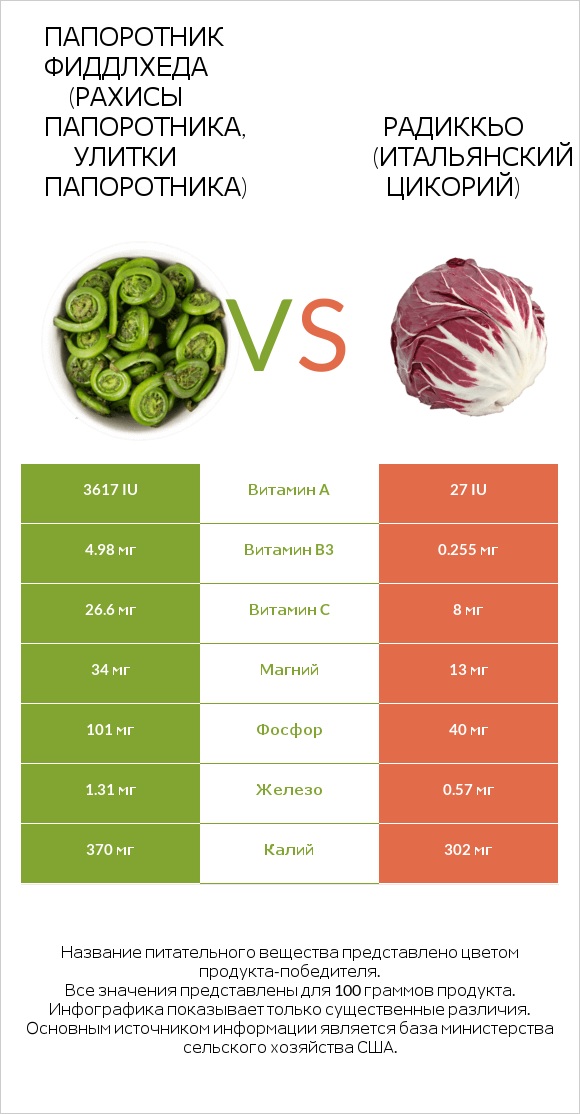 Fiddlehead ferns vs Radicchio infographic