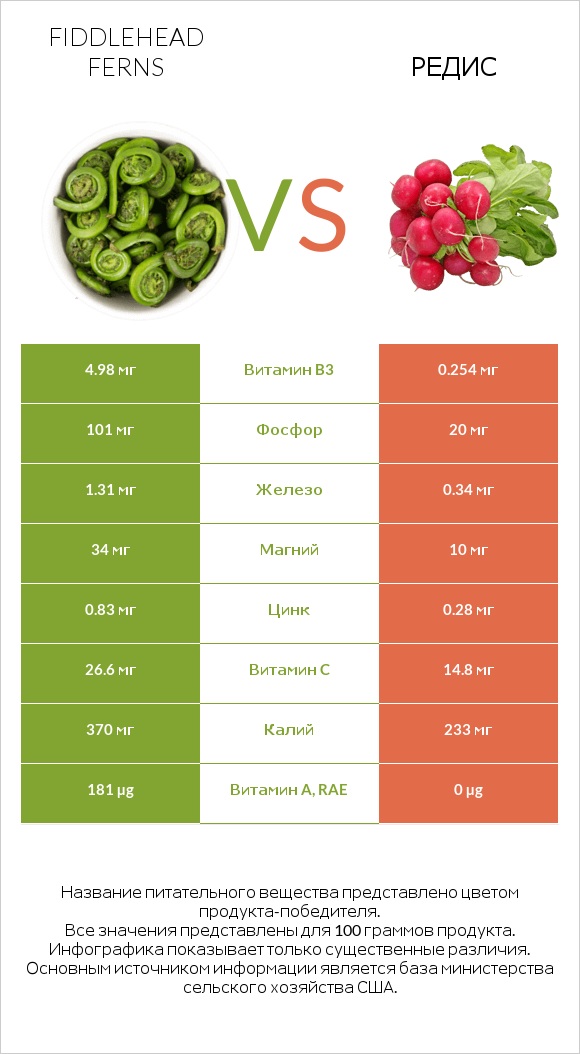 Fiddlehead ferns vs Редис infographic