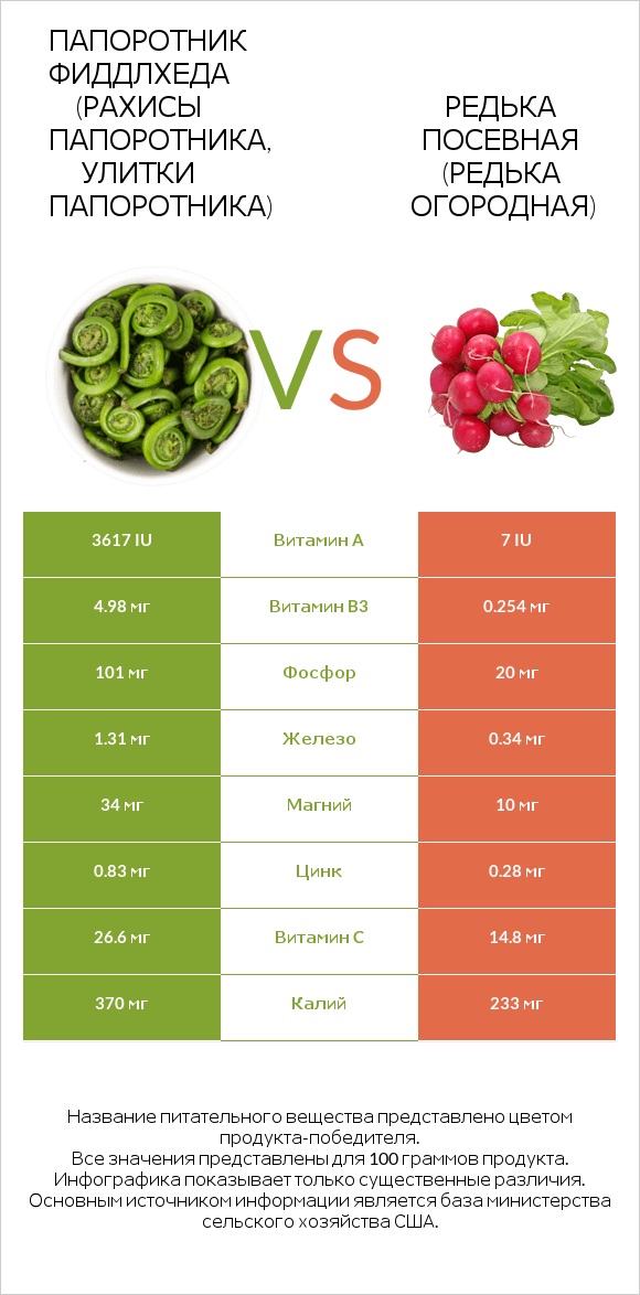 Fiddlehead ferns vs Редис infographic