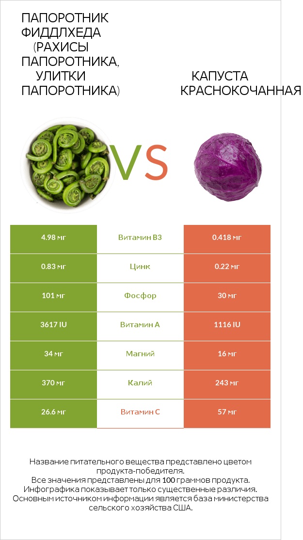 Fiddlehead ferns vs Капуста червона infographic