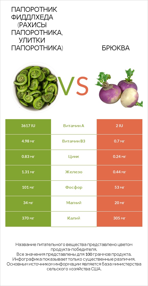 Fiddlehead ferns vs Брюква infographic