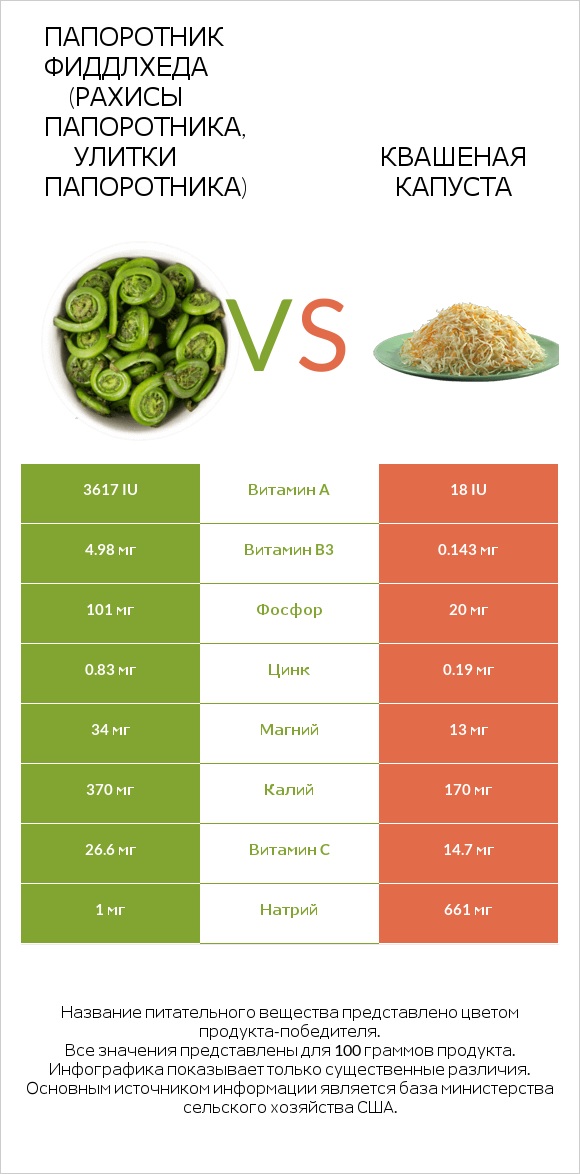 Fiddlehead ferns vs Квашеная капуста infographic