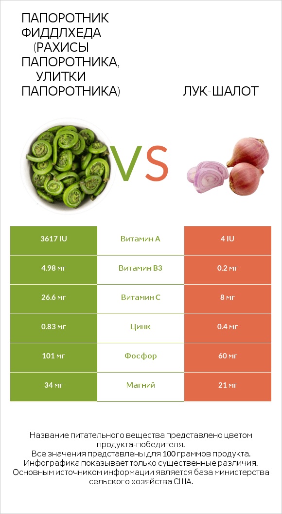 Папоротник Фиддлхеда (Рахисы папоротника, улитки папоротника) vs Лук-шалот infographic