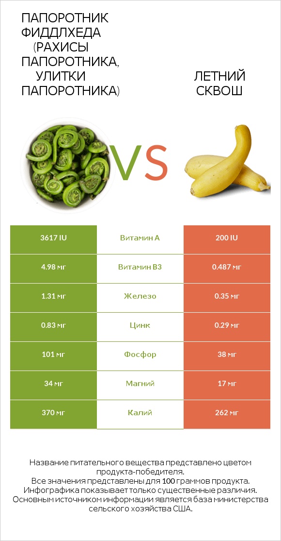 Папоротник Фиддлхеда (Рахисы папоротника, улитки папоротника) vs Летний сквош infographic