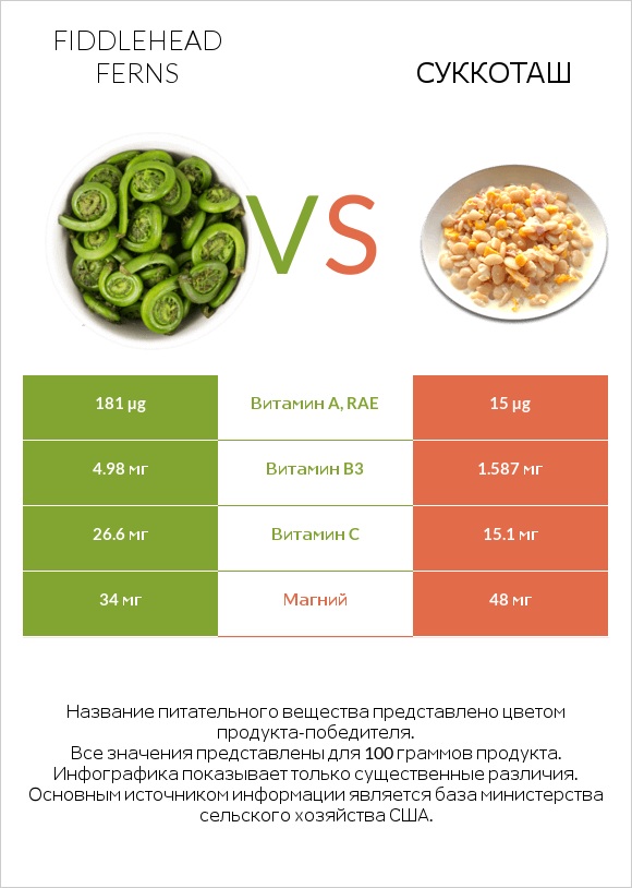 Fiddlehead ferns vs Суккоташ infographic