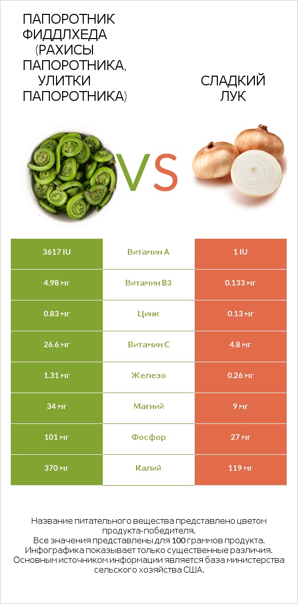 Fiddlehead ferns vs Sweet onion infographic