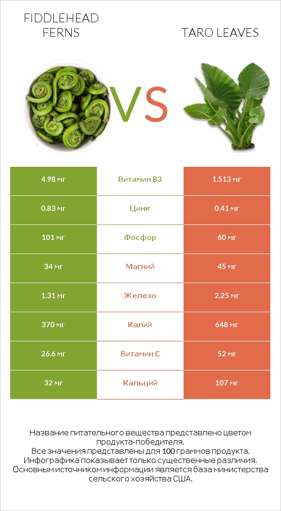 Fiddlehead ferns vs Taro leaves infographic