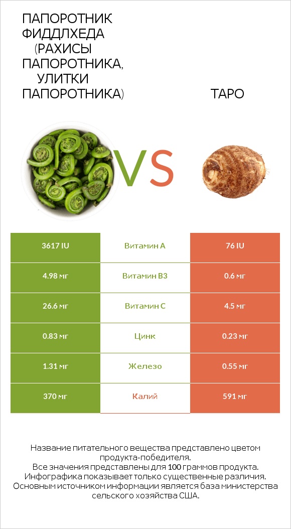 Fiddlehead ferns vs Таро infographic