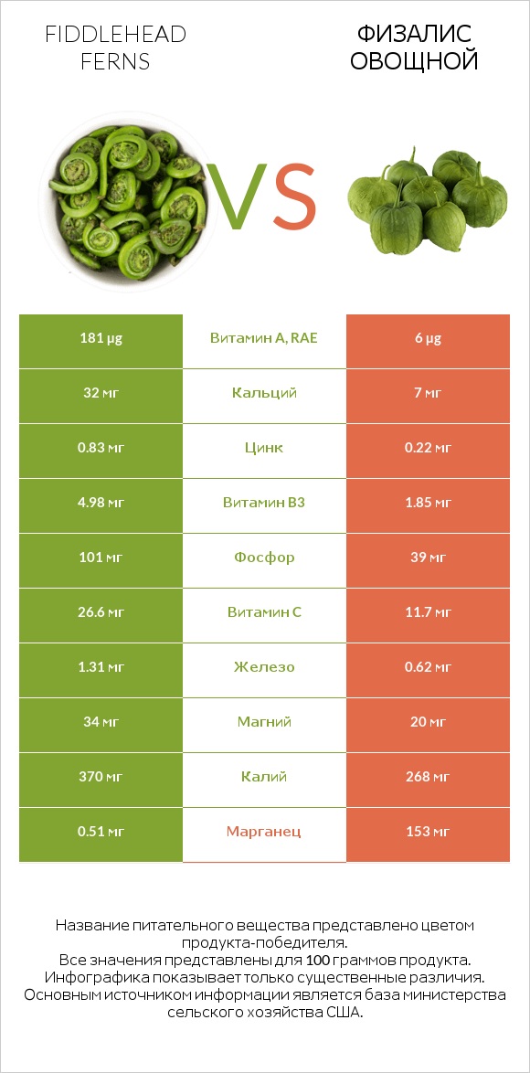 Fiddlehead ferns vs Физалис овощной infographic