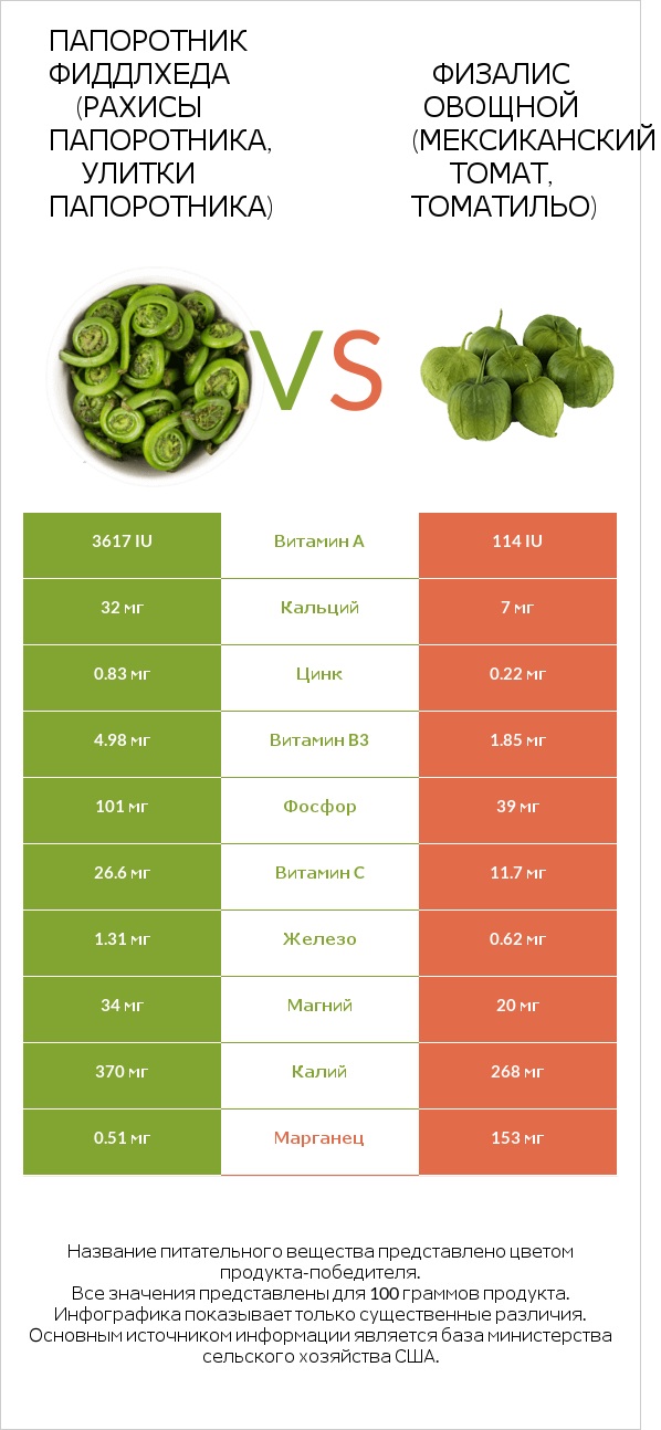 Fiddlehead ferns vs Физалис овощной infographic