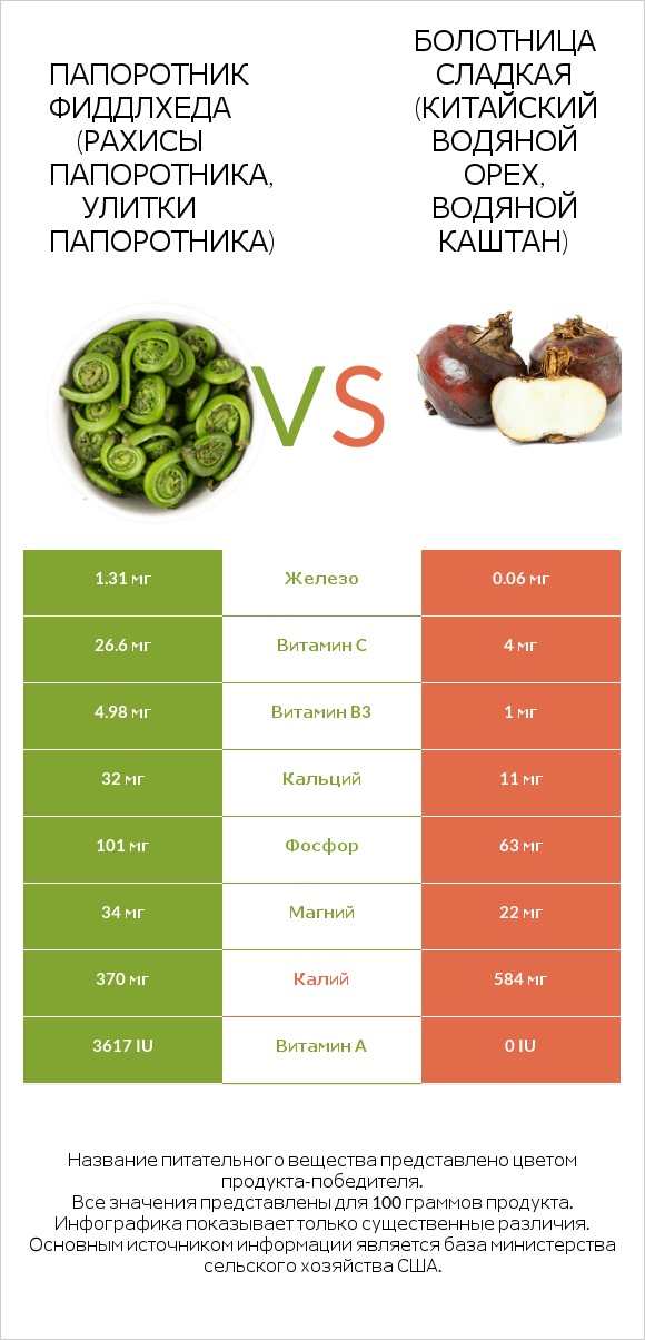 Fiddlehead ferns vs Water chestnuts infographic