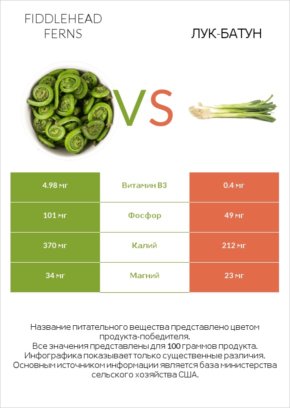 Fiddlehead ferns vs Лук-батун infographic