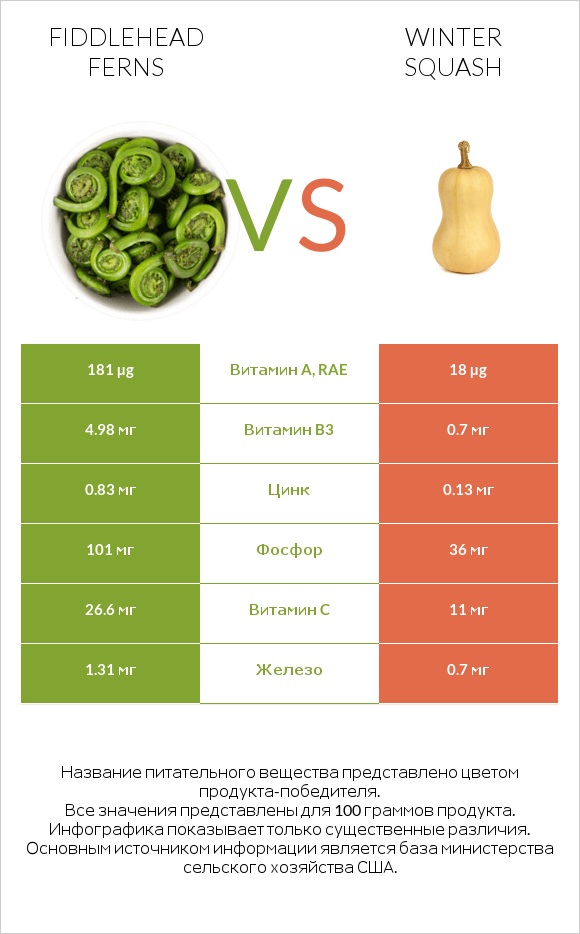 Fiddlehead ferns vs Winter squash infographic