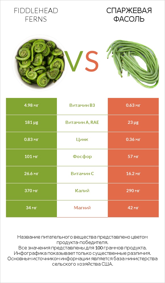 Fiddlehead ferns vs Спаржевая фасоль infographic