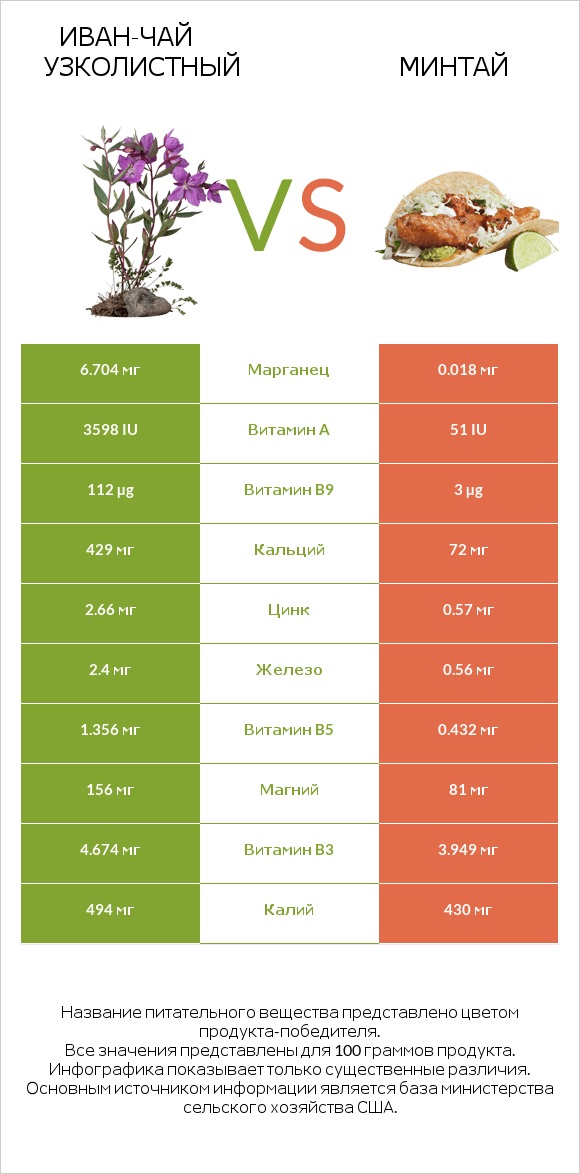 Иван-чай узколистный vs Минтай infographic