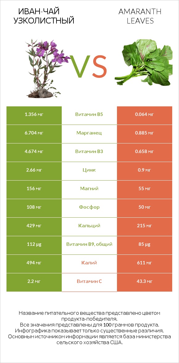 Иван-чай узколистный vs Листья амаранта infographic