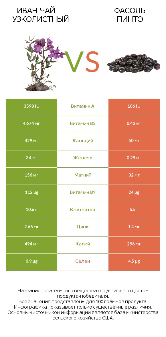 Иван-чай узколистный vs Фасоль пинто infographic