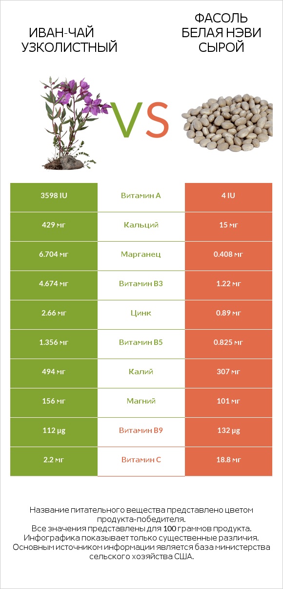 Иван-чай узколистный vs Фасоль белая нэви сырой infographic