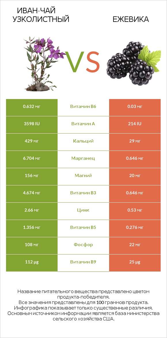 Иван-чай узколистный vs Ежевика infographic