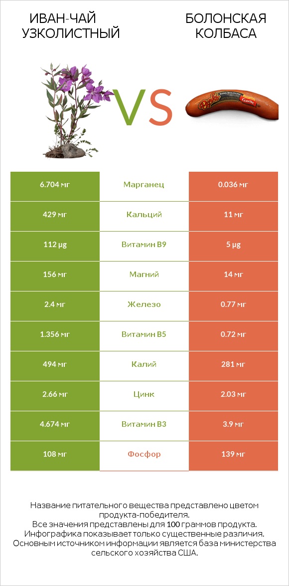 Иван-чай узколистный vs Болонская колбаса infographic