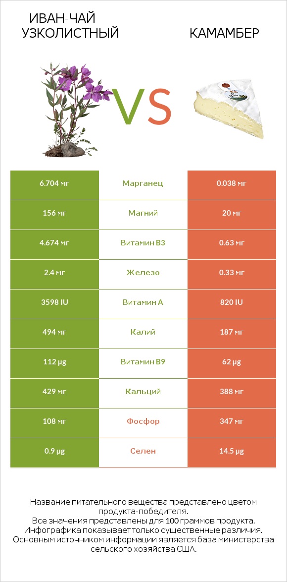 Иван-чай узколистный vs Камамбер infographic