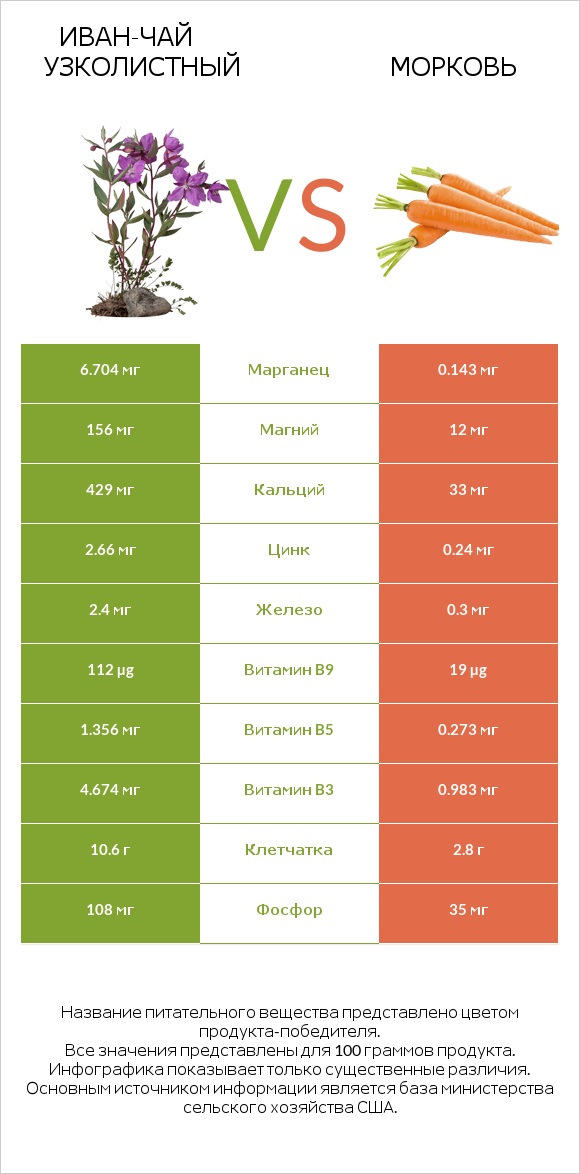 Иван-чай узколистный vs Морковь infographic